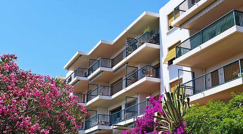 Photo of Les Mimosas