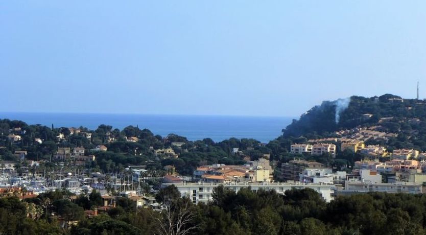 Photo of Les Mimosas