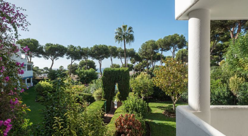 Photo of Jardin de miraflores