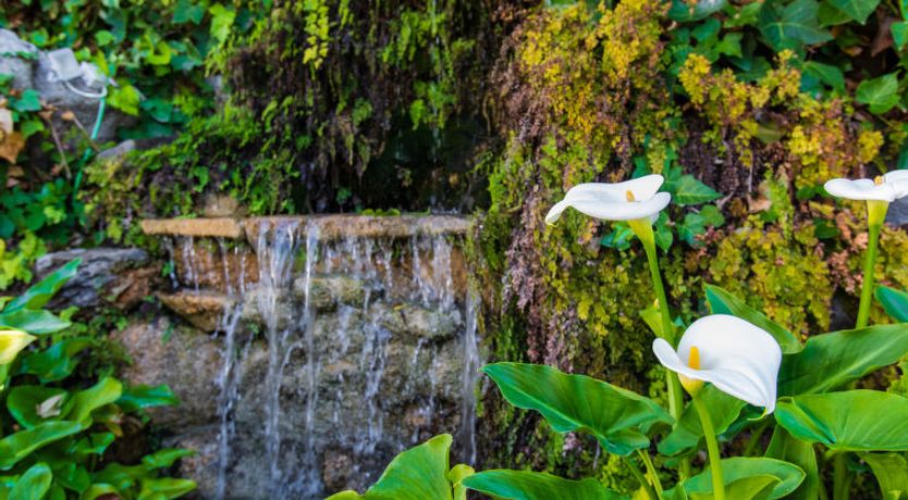 Photo of Vista del Mar