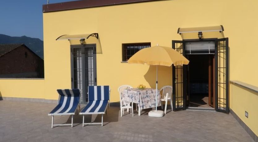 Photo of Lavanda (AEG160)