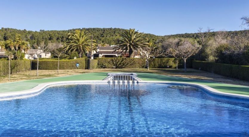 Photo of Les Palmeres