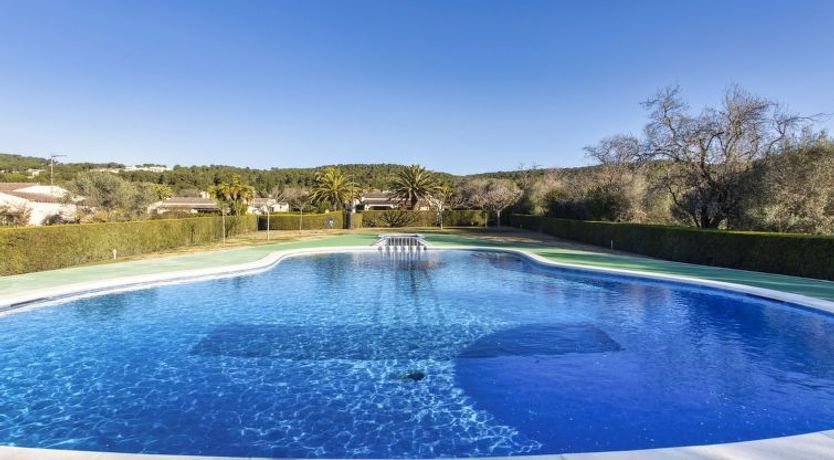 Photo of Les Palmeres