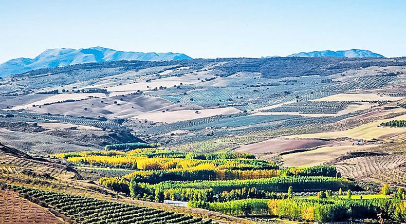 Photo of Rural Cacin