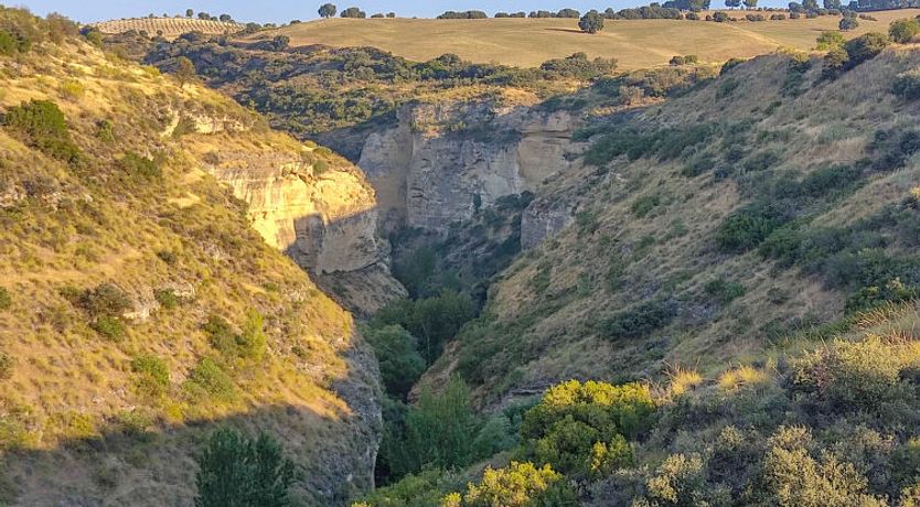 Photo of Rural Cacin