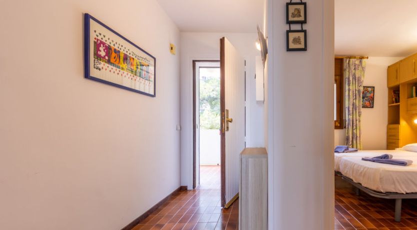 Photo of Constel·lació