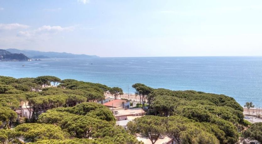 Photo of Windsor Apartment 2