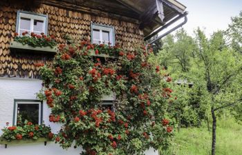 Oberhaslach Holiday Home