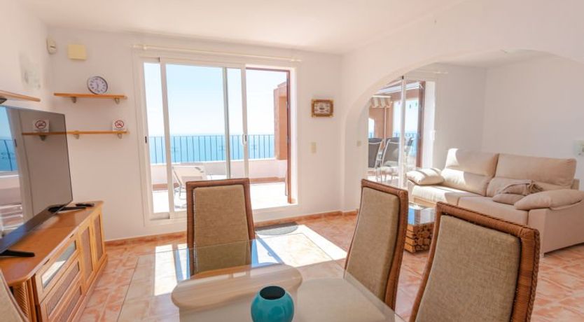 Photo of Azul Celeste