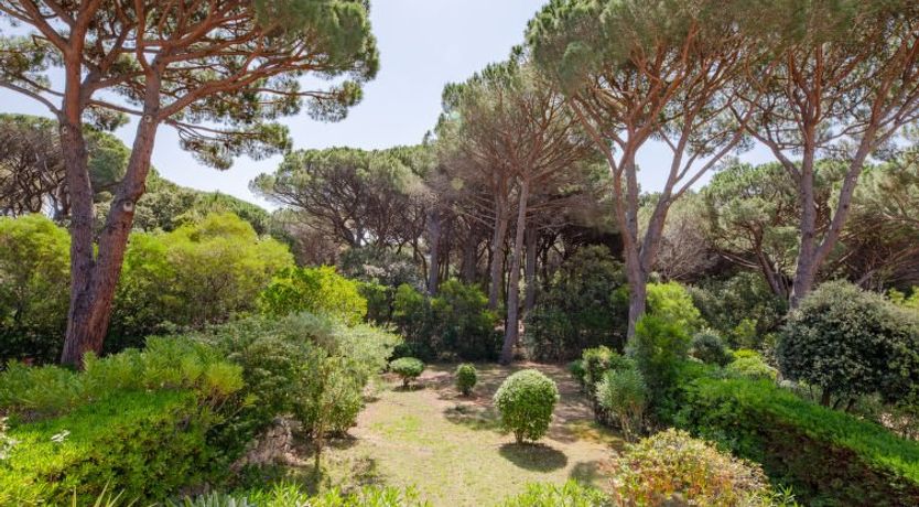 Photo of Le Thalassa 1