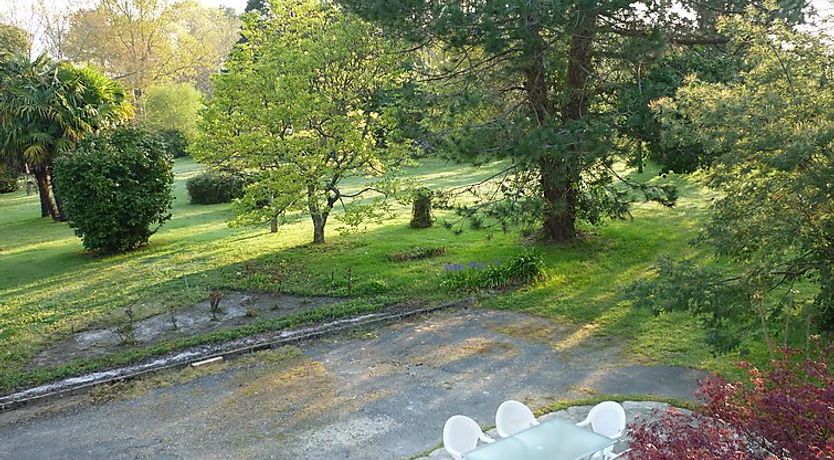 Photo of Le chant des milans