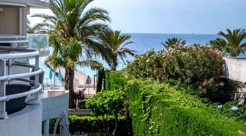 Photo of Royal Palm Apartment 2