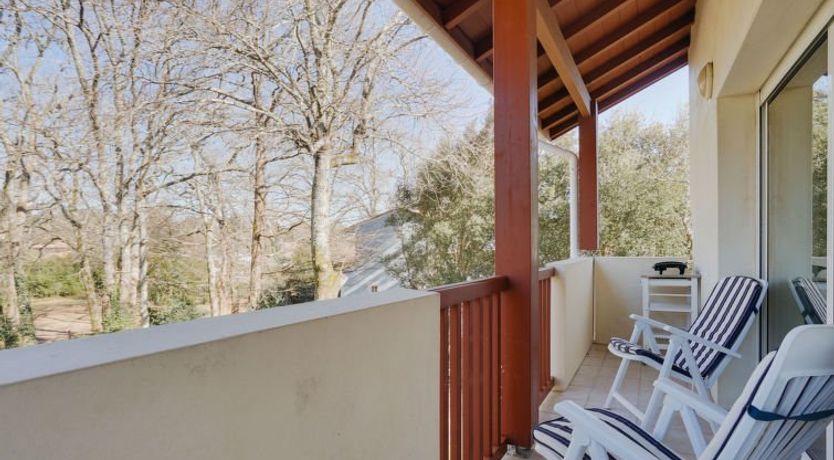 Photo of Les écureuils