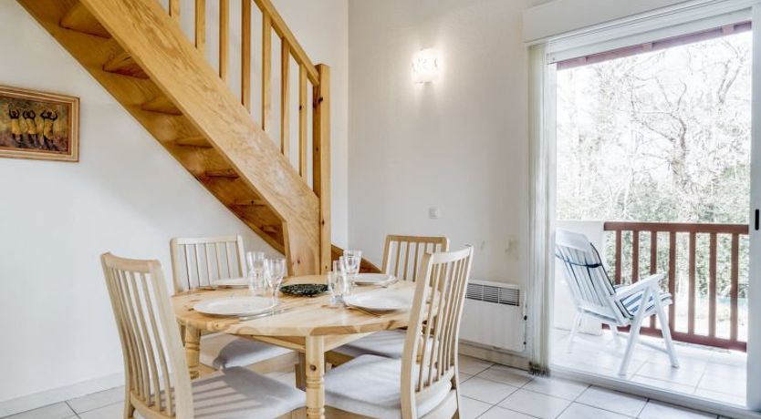 Photo of Les écureuils