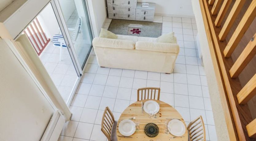 Photo of Les écureuils