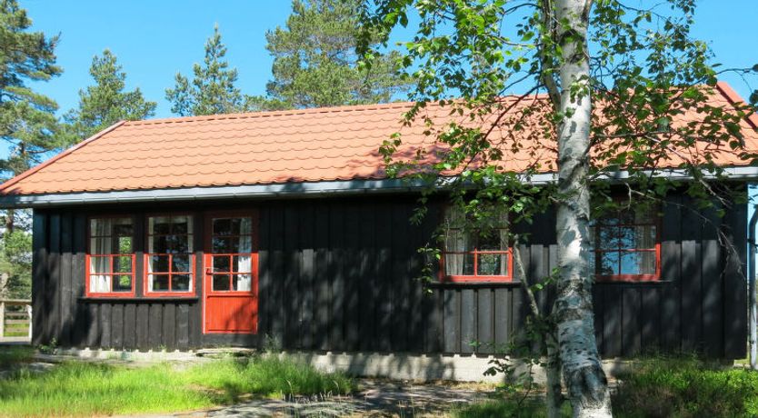 Photo of Førevanns Hytta