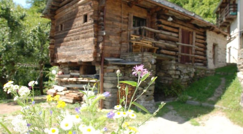 Photo of Rustico Rudico