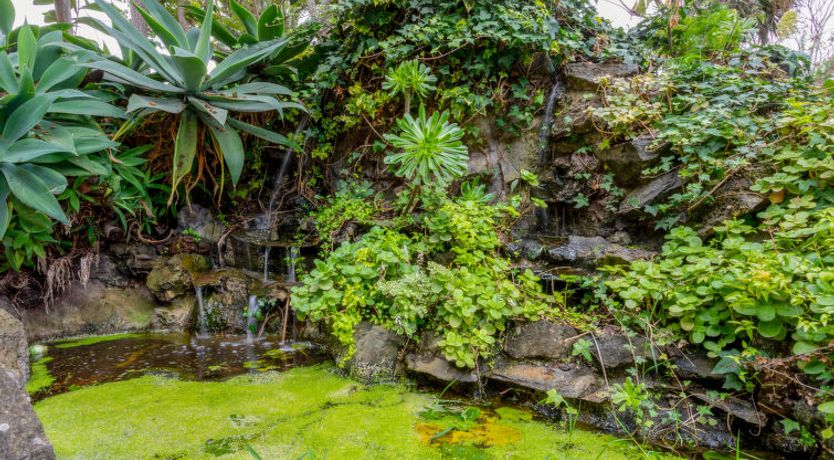 Photo of Villa Torrita