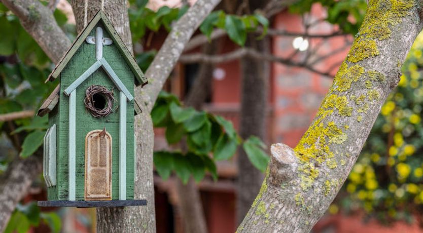 Photo of Villa Torrita