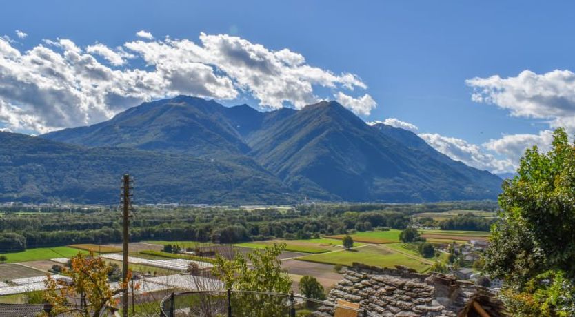 Photo of Bertino 1892