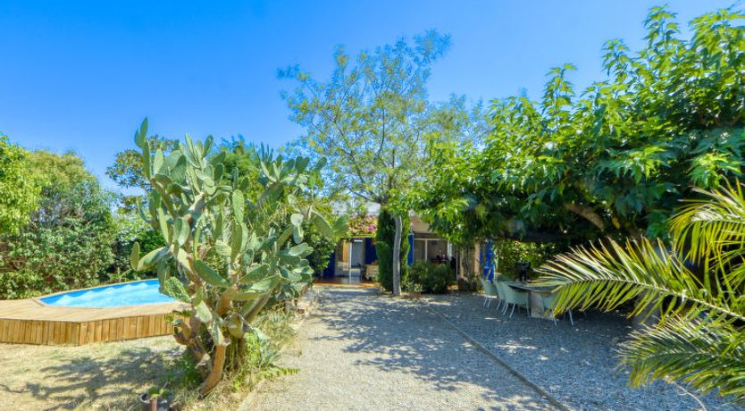 Photo of Ave de Paso