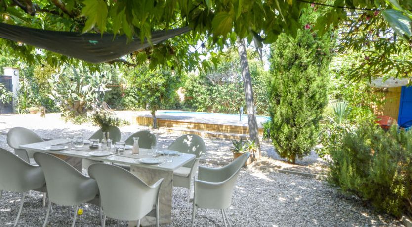 Photo of Ave de Paso