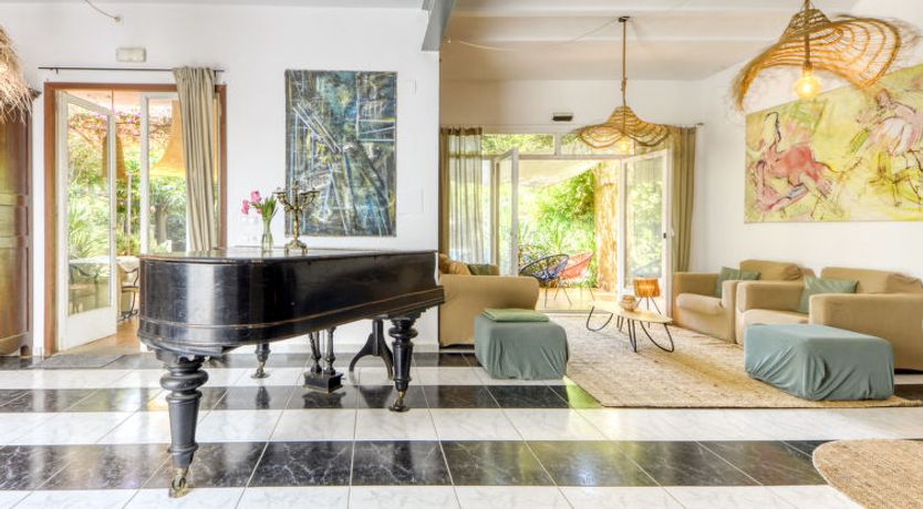 Photo of Ave de Paso