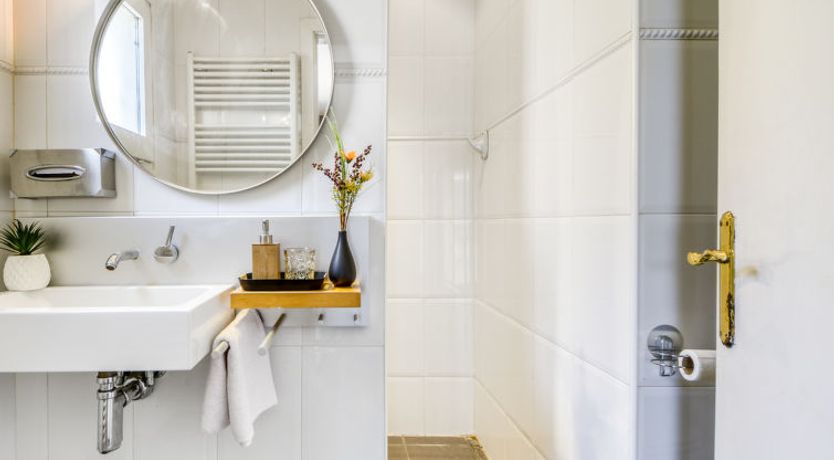 Photo of Ave de Paso