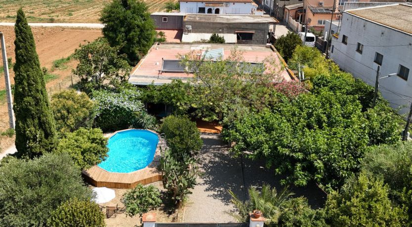 Photo of Ave de Paso