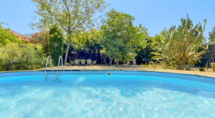 Photo of Ave de Paso