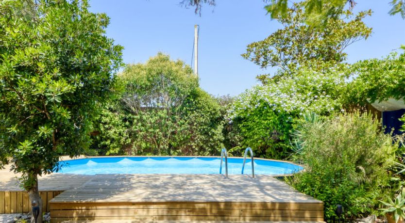 Photo of Ave de Paso