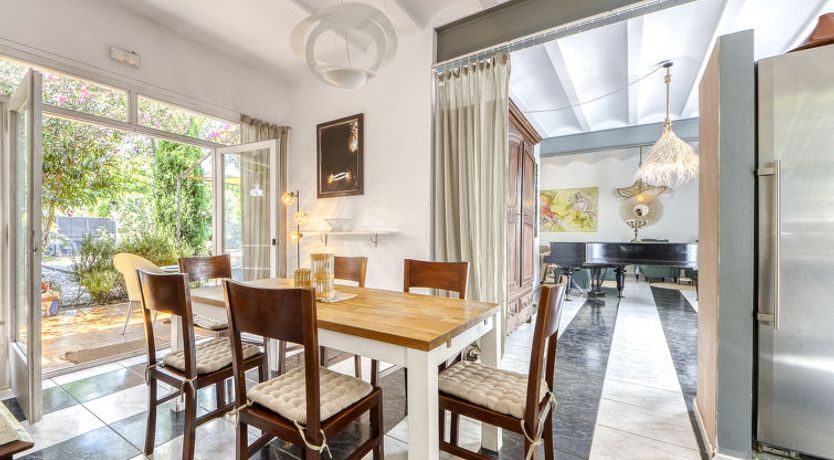 Photo of Ave de Paso