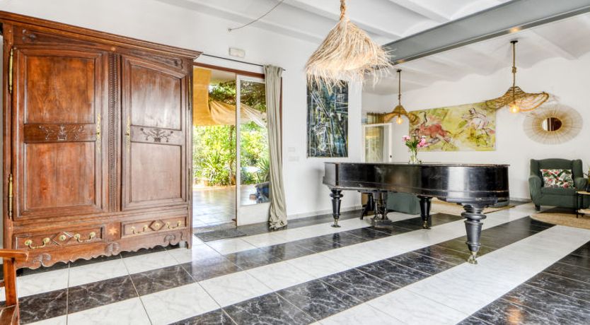 Photo of Ave de Paso