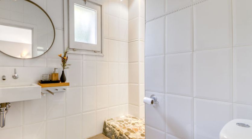 Photo of Ave de Paso