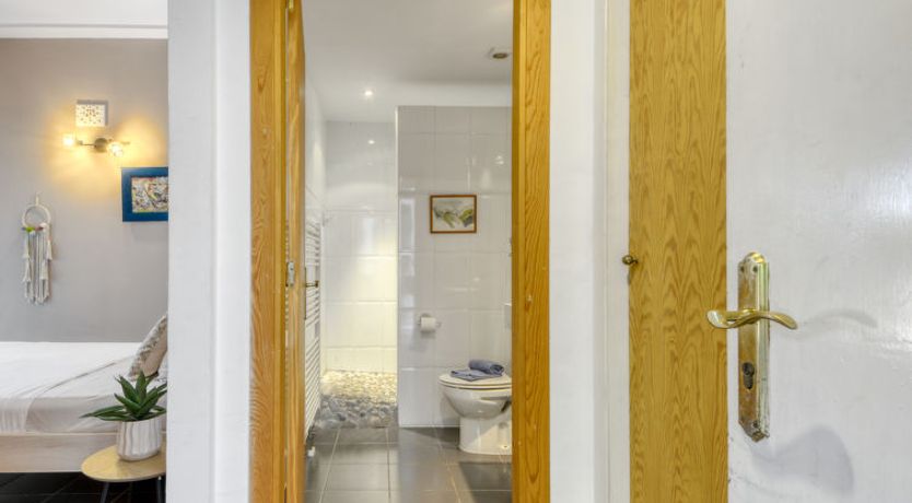 Photo of Ave de Paso