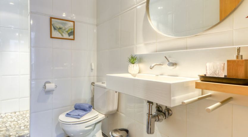 Photo of Ave de Paso