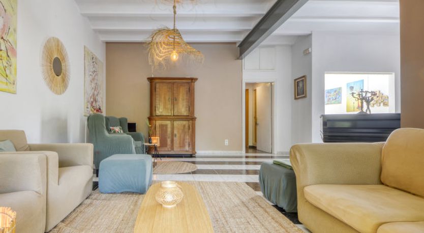 Photo of Ave de Paso