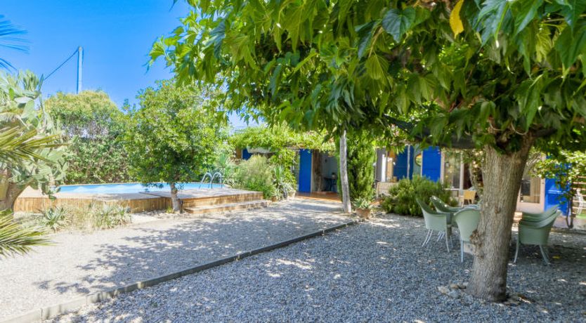 Photo of Ave de Paso