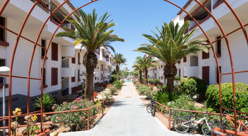 Photo of Comfy Altemar