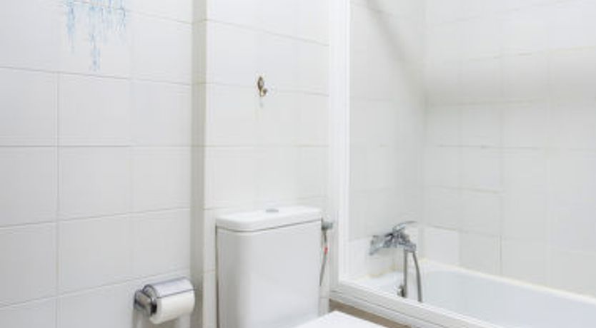 Photo of Comfy Altemar