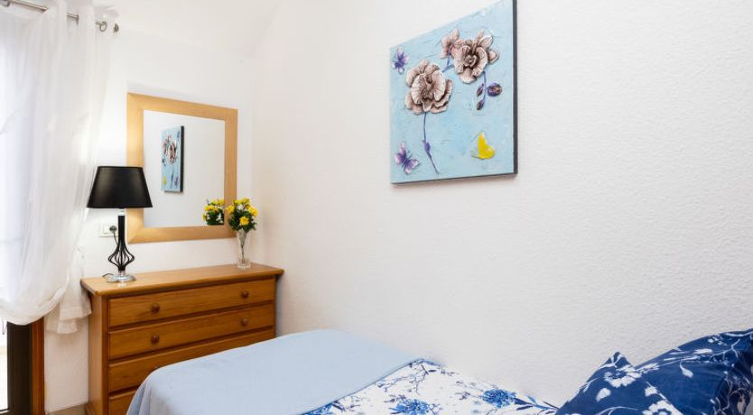 Photo of Comfy Altemar