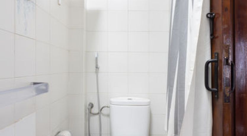 Photo of Comfy Altemar