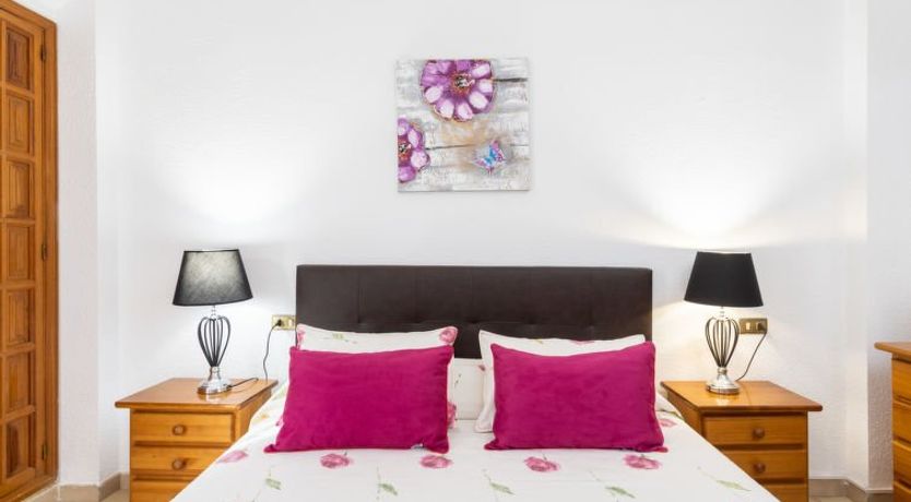 Photo of Comfy Altemar