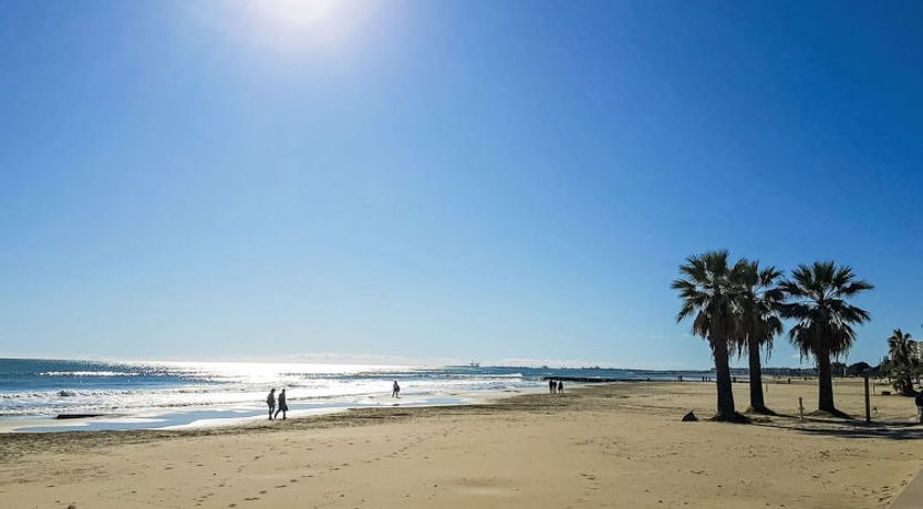 Photo of Jorge Comin