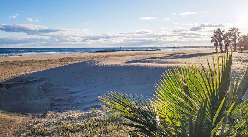 Photo of Jorge Comin