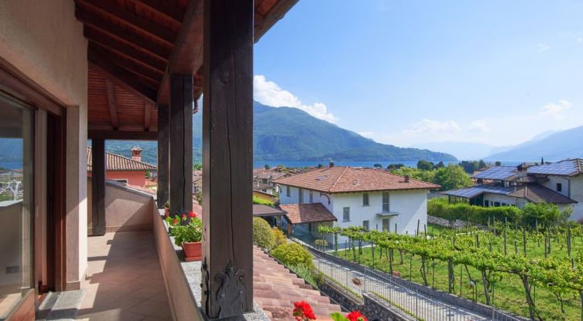 Photo of Carmen (DMA168)