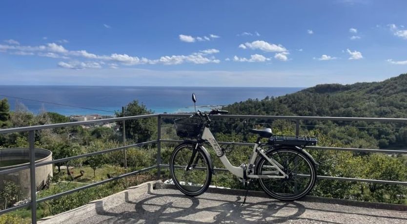 Photo of Casa del Pernambuco (PTL205)