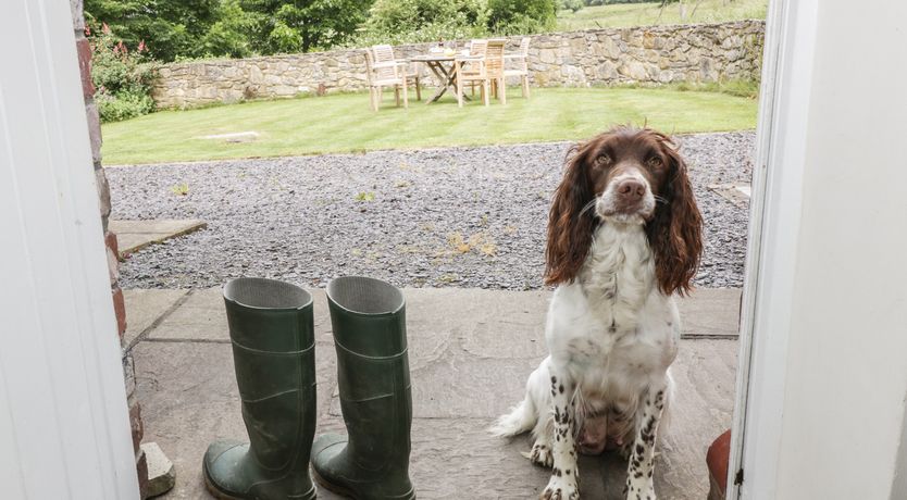 Photo of Bryn Howell Stables