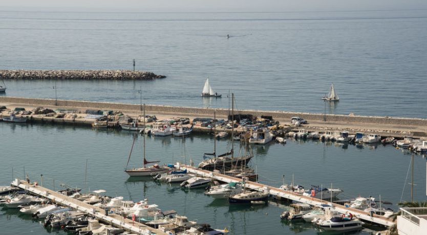 Photo of Carmen Vistamar