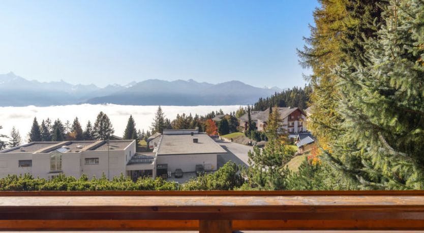 Photo of Résidence Orana 3